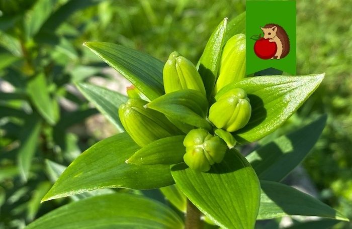 ������ ������ ����� ������ �������� � ������ ��������: �������� ������ �����