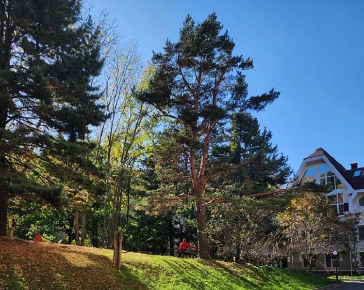 ����� � ������������ ������ ��������� � �������� � �������