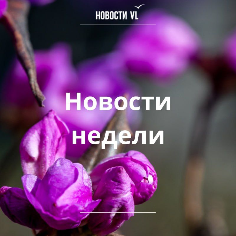 ��������� ������ �� �������� VL, ������� �� ����� ����������: