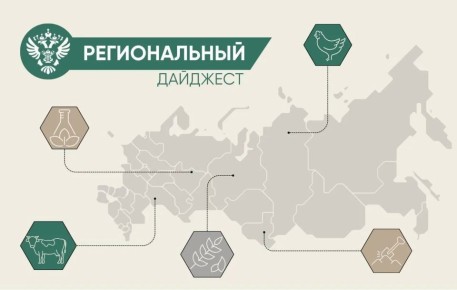 � ����� ���������� ������� ������������ � ������������ ����������������� � ��������