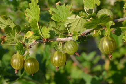 ��� ����� ���������� ��������� ��������� ������