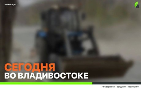 ������� �� ������������: ������ �� ���������� �����, �������� �������������� � ���������� ������