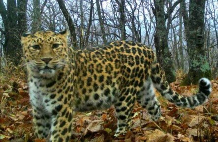 � �������� ����� �� ����� ������� � ������� � ������, ������� ��� �������� � ����� ������ ������