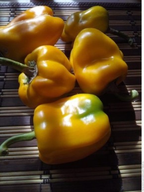 ������� ������: ��� ��������� ������� � ������� ����� �� ����� �������