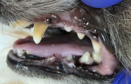 ������������ �������� ����� �� �������� ��� ����� � ����� ������