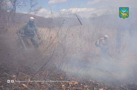 ������ ������� ���������������� � �������� �� ��������