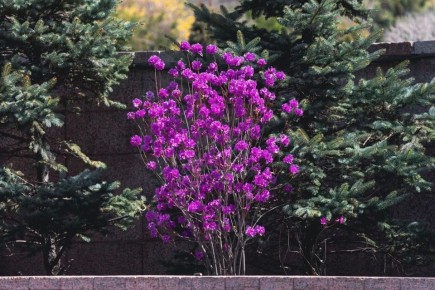 �� ������������ �������� �������� ������������ � ��������