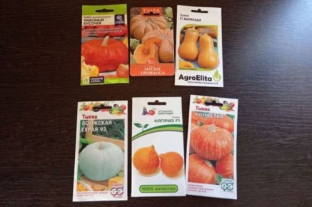 ����� �� ����� ����: ������ ����� � �� ����� ����������