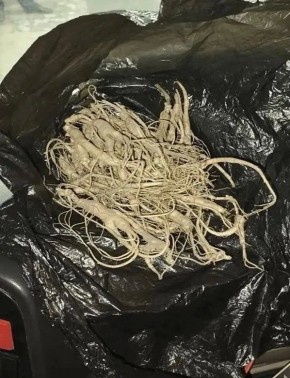 ������������ ������� ������������ ����������� ���� �������� ���� ����������� ������� �������������� ��������