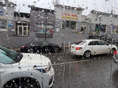 ����� ������� �������� � ����� - �������