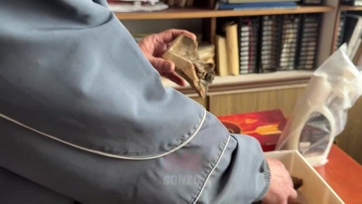 ���� �������� ���� ����������: ��� ����� ������� ��������� � �������