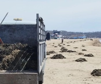 �� ������������ �������� ������ ������ ������