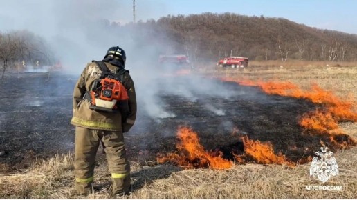 � �������� �� �������� �����: