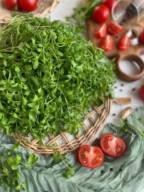 �����-�����, ������� ������� ��� ���� ���� ���