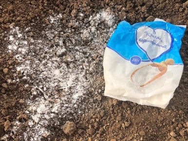 ����������� ������ ��������� ������: ������������ ������� � �����������