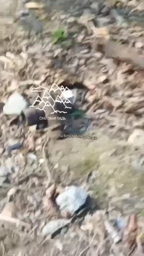 � �������� ���� ��� ��������� ���� ����� ������� ����� ������