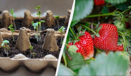 ��������: �������� ��� ��� ������� �������, ������� �� ����� ����������