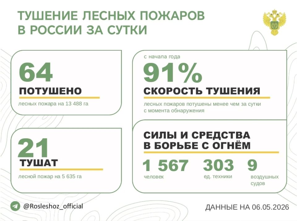 За прошедшие сутки в 15 регионах России потушили 64 лесных пожара