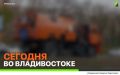 ������� �� ������������: ������ �� ���������� �����, �������� ��������������, �������� �������� � ���������� ������