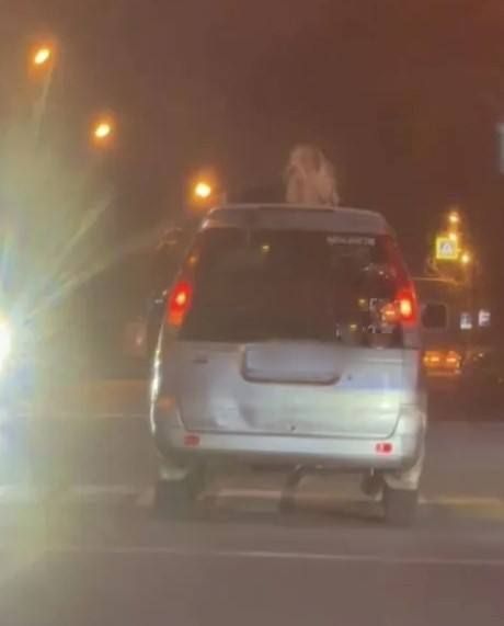 В Уссурийске сотрудники Госавтоинспекции привлекли к ответственности водителя, нарушившего правила перевозки людей