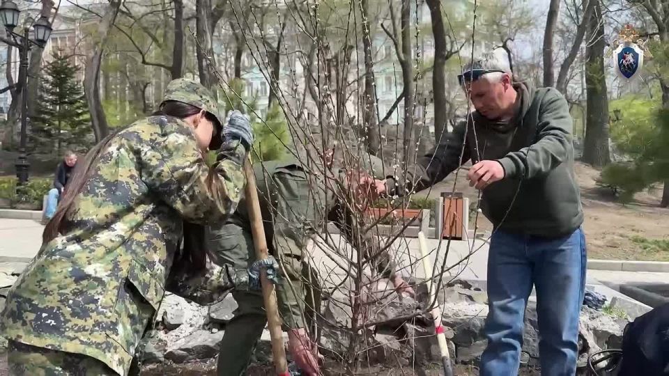 Офицеры СКР Приморья и кадеты высадили деревья у мемориала морским пехотинцам ТОФ во Владивостоке