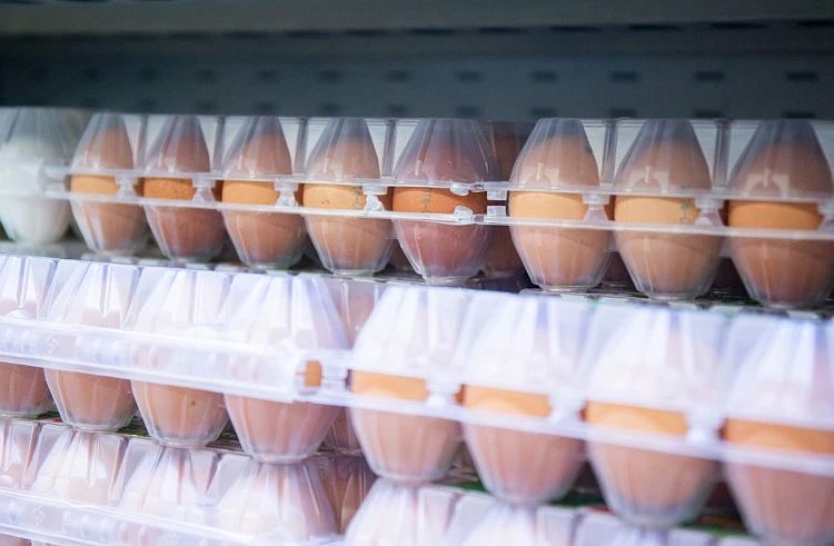 Государственная поддержка стабилизирует цены на продукты в Приморье