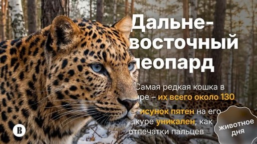 ������� � ������� ����������� ��������� ���� � ��������������� �������, ����� ������ ����� �� �������