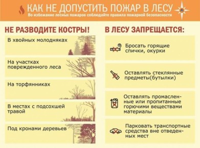 ������� ���������� ��������������� �� ��������� ���������� ������������ � �������� ���������������� ������