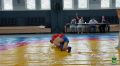 В ПРИМОРЬЕ СОТРУДНИКИ ПОЛИЦИИ ОДЕРЖАЛИ ПОБЕДУ В ЧЕМПИОНАТЕ СПОРТИВНОГО ОБЩЕСТВА «ДИНАМО» ПО САМБО