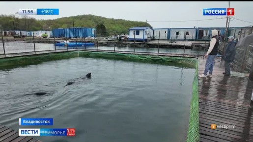 Паша и Чеба на летних каникулах