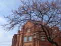 Доброе утро, Уссурийск! . Сегодня вторник, 12 мая — самое время войти в рабочий ритм и уверенно двигаться к намеченным целям