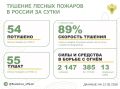 За прошедшие сутки в 15 регионах России потушили 54 лесных пожара