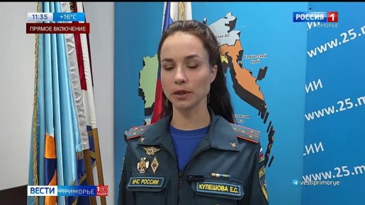 Небывалый всплеск бытовых пожаров зафиксировали в Приморье на минувшей неделе