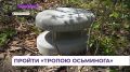 � �������� ��������������� ������ ��������� ������� �� �������� ������