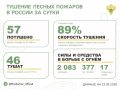 �� ��������� ����� � 18 �������� ������ �������� 57 ������ �������