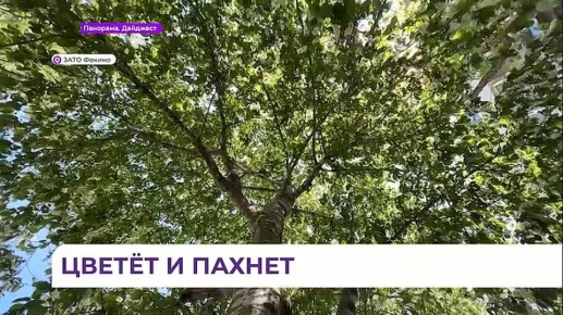 � ������ ������������ ������ �� ���������� ������