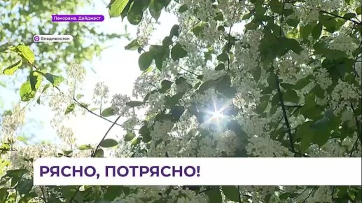 �� ������������ ������� ��� ��������� ������� � ����������