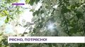�� ������������ ������� ��� ��������� ������� � ����������