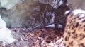 � �������� ����� ������������ ����� � ���������� ���������������� ��������, ���������� ���� � ������ �������