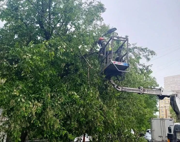 Наводим порядок на улицах Владивостока Наводим порядок на улицах Владивостока