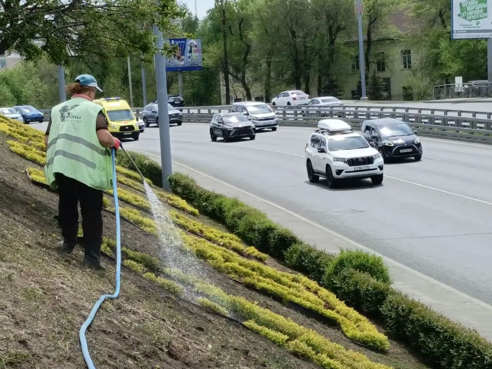 Наводим порядок на улицах Владивостока Наводим порядок на улицах Владивостока