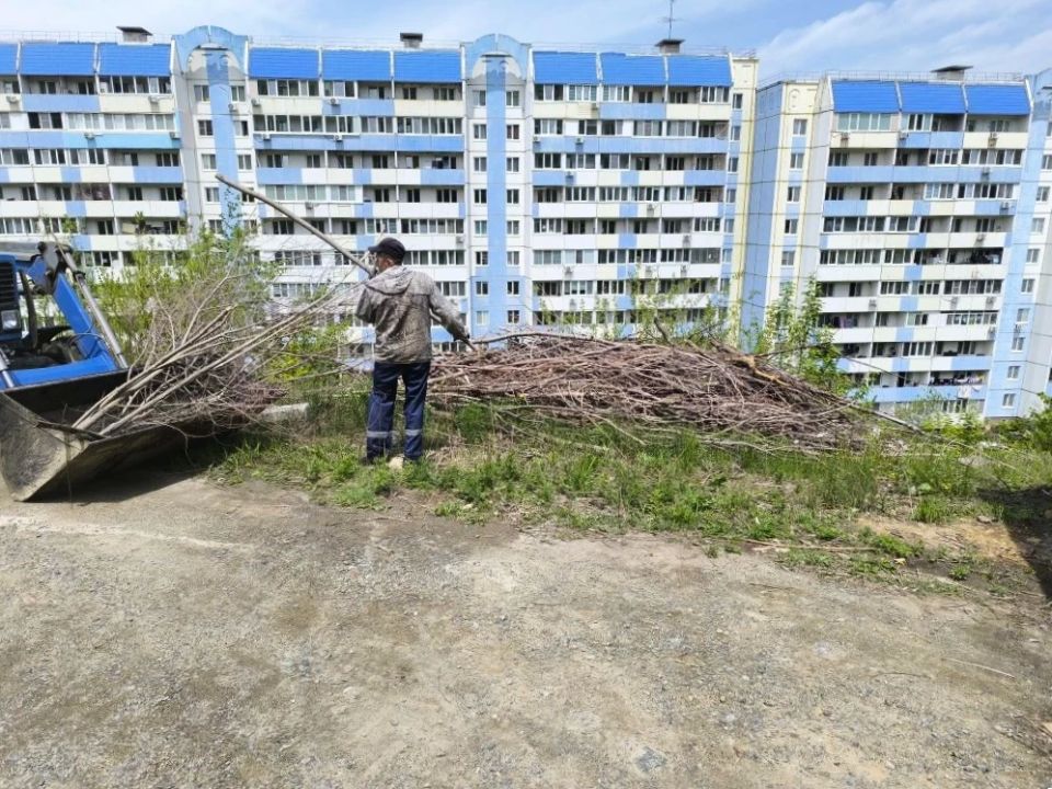 Наводим порядок на улицах Владивостока