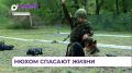 Тренировки минно-розыскных собак проходят в Приморье