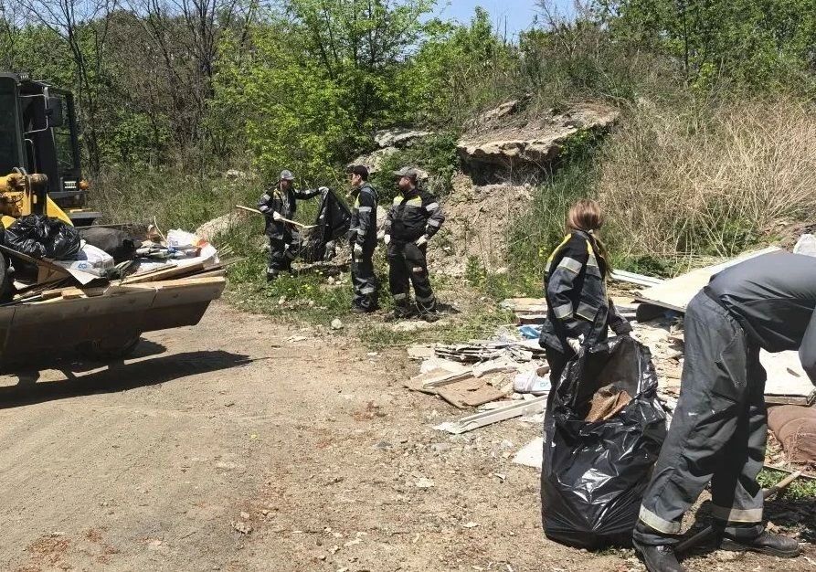 Экологическая акция «Зеленая Весна» помогла очистить лесной массив в Находке Экологическая акция «Зеленая Весна» помогла очистить лесной массив в Находке