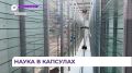 Студенты ТГМУ создают лекарства из приморских дикоросов