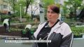 Почти 370 тысяч цветов украсят скверы, парки и клумбы Владивостока в этом году
