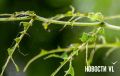 �� ��������� ������ ������� �� ������������ ������ ������������ �� ����������