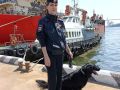 Владивостокские транспортные полицейские приняли участие в межведомственной учебной тренировке со служебными собаками