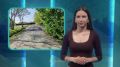 Новая рабочая неделя — новые дорожные итоги