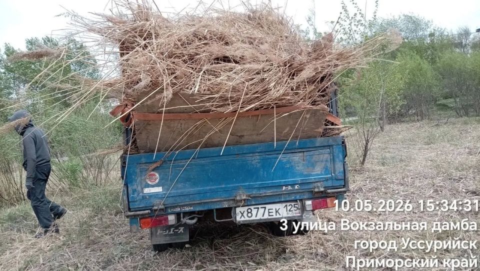 Чистота и порядок: в Уссурийске выкашивают траву Чистота и порядок: в Уссурийске выкашивают траву